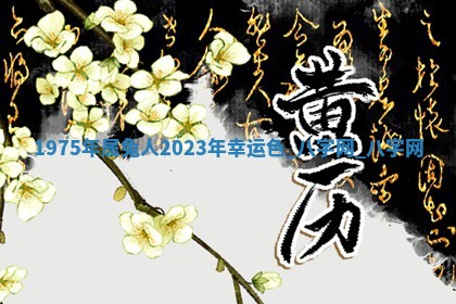 2026年02月25日农历二〇二六年正月初九出生的梁姓女宝宝取名全攻略