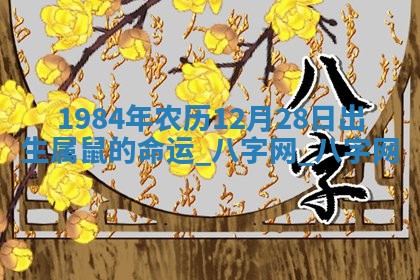 2026年02月28日出生毛姓男宝宝八字五行取名禁忌与建议