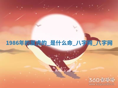 2026年02月28日出生毛姓男宝宝八字五行取名禁忌与建议