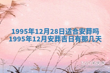 2026年02月06日农历二〇二五年腊月十九出生的张姓男宝宝取名全攻略