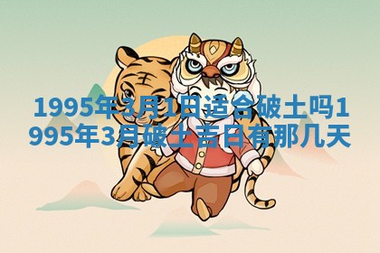 2026年02月19日出生徐姓男宝宝八字五行取名禁忌与建议