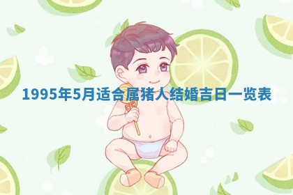 2026年02月06日农历二〇二五年腊月十九出生的张姓男宝宝取名全攻略