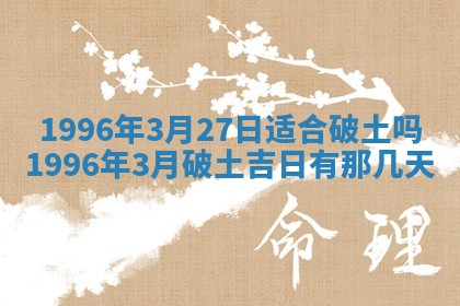 2026年02月06日农历二〇二五年腊月十九出生的张姓男宝宝取名全攻略