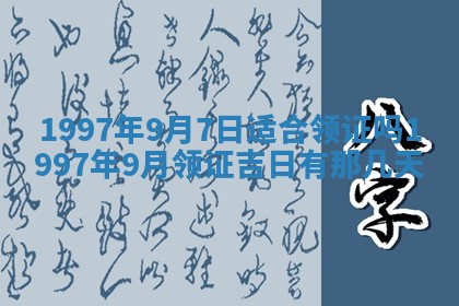 毛姓2026/03/19出生女宝宝起名全攻略：名字推荐与禁忌字分析
