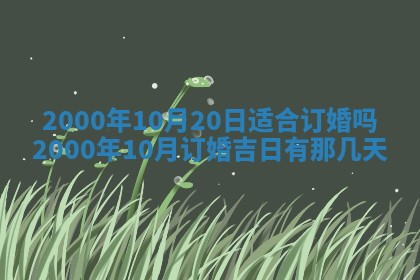 今日农历2025年六月初四黄历婚姻登记推荐吗,领证吉日