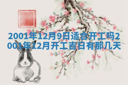 夏姓男宝宝名字精选：2026年02月03日生辰八字起名技巧