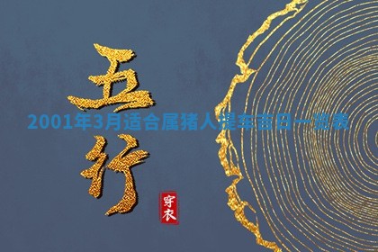 2026年3月份开工建设吉时:哪几天适合动土
