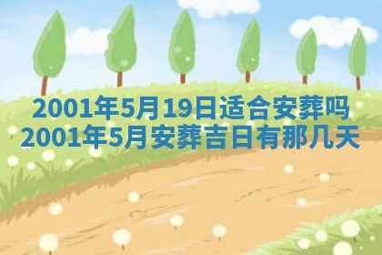廖姓2026年02月15日出生的男宝宝取名攻略：名字怎么取才吉利？