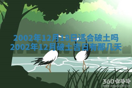 唐姓女宝宝取名大全：2026年02月12日出生的宝宝名字推荐