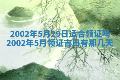 杨姓男宝宝取名大全：2026年03月23日出生的宝宝名字推荐