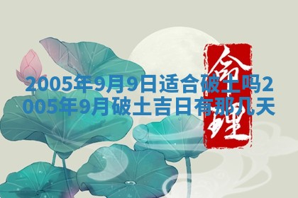 农历2025年五月廿二黄历商业启动适合吗,这天开业合适吗