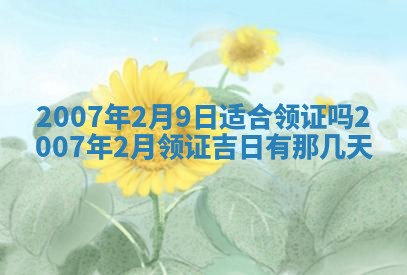 农历2025年五月廿一黄历：今天适宜商业启动吗