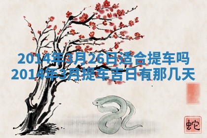 2025年12月07日打牌朝哪个方向