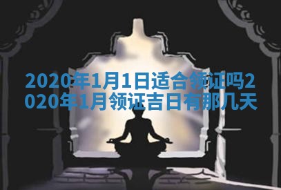 2026年02月19日萧姓女宝宝起名必读：八字喜忌用字详解
