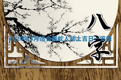 如何给2026年03月15日出生的赵姓女宝宝起个好名字？专业分析与建议