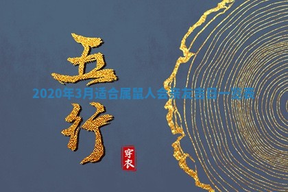 如何给2026年03月15日出生的赵姓女宝宝起个好名字？专业分析与建议