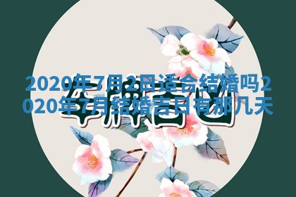 如何给2026年03月15日出生的赵姓女宝宝起个好名字？专业分析与建议