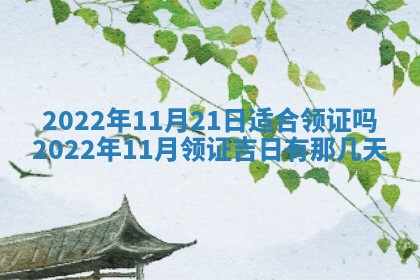 今日万年历2025年6月12日换门吉日,安门好日子查询