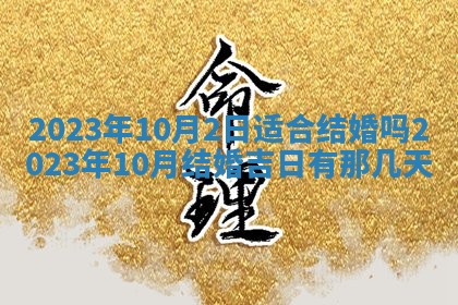 2025年11月21日打麻将财神方位专业分析