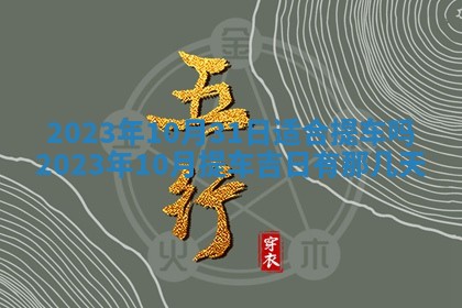 今天是否适合房屋装饰,2025年6月4日黄历宜忌分析