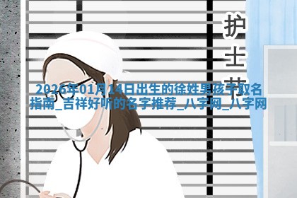 徐姓男孩子取名