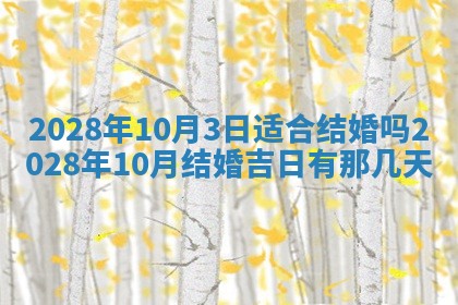 2025年11月20日各时辰财神方向详细解析