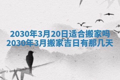 如何给2026年03月15日出生的赵姓女宝宝起个好名字？专业分析与建议
