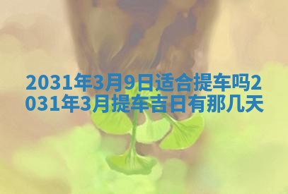 2026年02月25日出生的范姓男孩子取名指南：吉祥好听的名字推荐