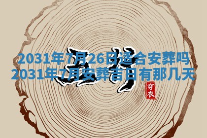 2026年02月25日出生的范姓男孩子取名指南：吉祥好听的名字推荐
