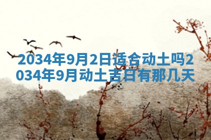 吴姓2026年02月08日出生的男孩子命理分析与起名攻略