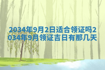 吴姓2026年02月08日出生的男孩子命理分析与起名攻略