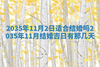 2026年01月23日农历二〇二五年腊月初五出生的于姓女宝宝取名全攻略