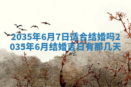 2025年12月07日打牌朝哪个方向