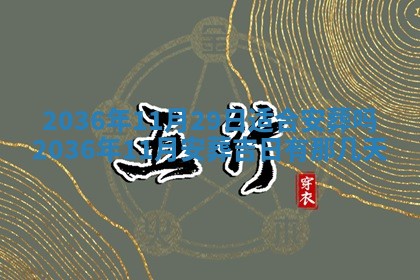八字五行与武姓：2026年03月02日出生男宝宝的理想名字分析