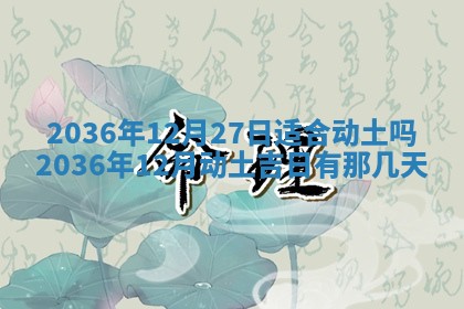 谭姓2026年02月27日出生的男孩子命理分析与起名攻略