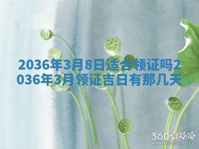 谭姓2026年02月27日出生的男孩子命理分析与起名攻略