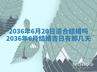 赖姓女孩子名字推荐：2026年02月08日出生宝宝的吉祥起名
