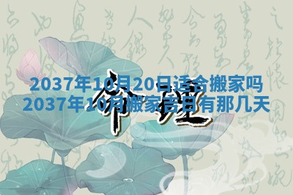 八字五行与武姓：2026年03月02日出生男宝宝的理想名字分析