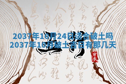 2025年12月19日的打麻将在哪个方位查询