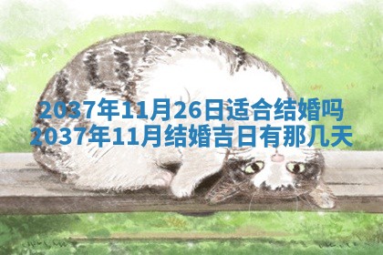 八字五行与武姓：2026年03月02日出生男宝宝的理想名字分析