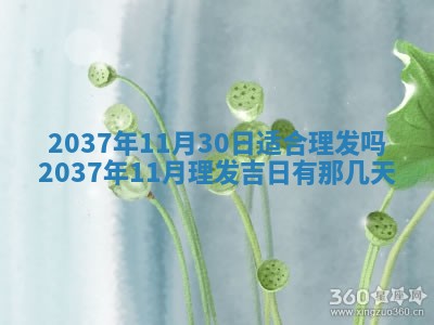 2025年12月13日打麻将财神吉位查询