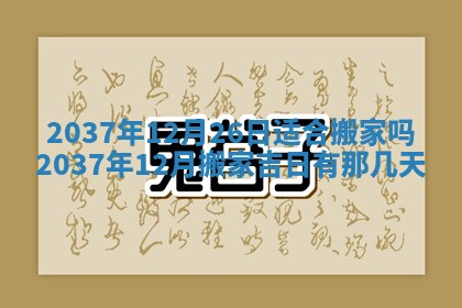 今日万年历2025年6月23日动土吉日,动土好日子查询