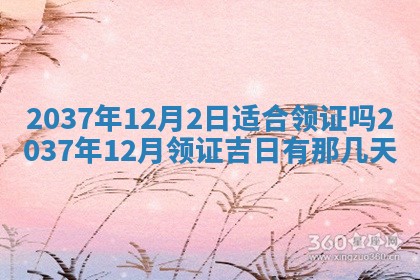2025年12月15日打麻将打麻将在哪个吉位
