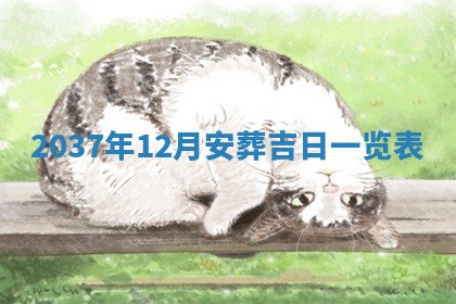 2025年12月11日打麻将朝向查询