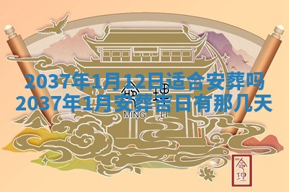 八字五行与武姓：2026年03月02日出生男宝宝的理想名字分析