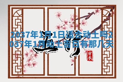 八字五行与武姓：2026年03月02日出生男宝宝的理想名字分析
