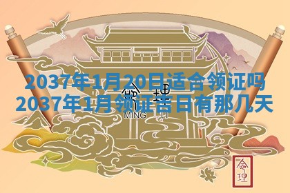 2025年12月11日打麻将朝向查询