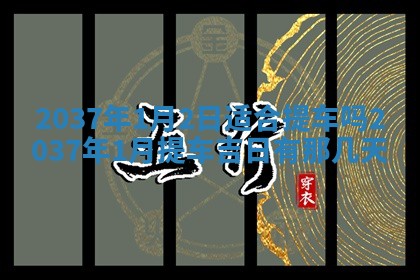 2025年12月11日打麻将朝向查询