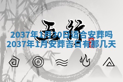 八字五行与武姓：2026年03月02日出生男宝宝的理想名字分析