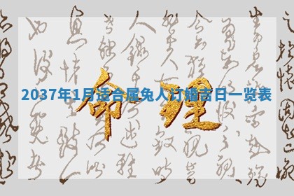 八字五行与武姓：2026年03月02日出生男宝宝的理想名字分析